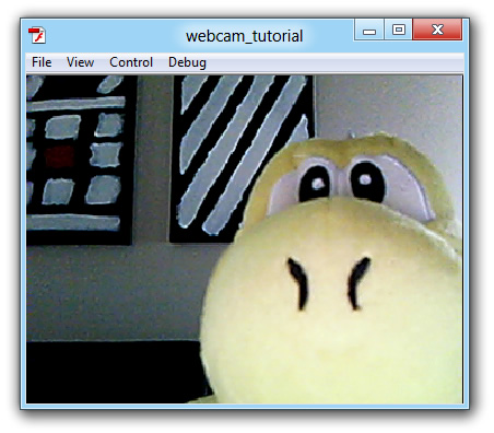 webcam_image