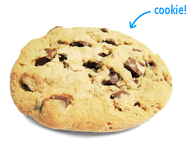 cookie cookie cookie cookie cookie cookie cookie cookie cookie cookie