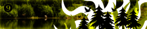 Footer entry: flasher