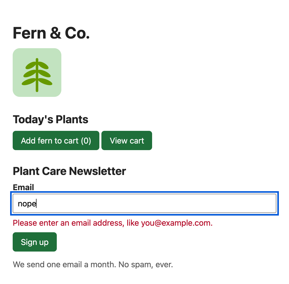 The fixed page with a Fern and Co. heading, two buttons, a labeled Email field containing the text nope with a blue focus ring, a red message that says Please enter an email address, like you@example.com, and a Sign up button.