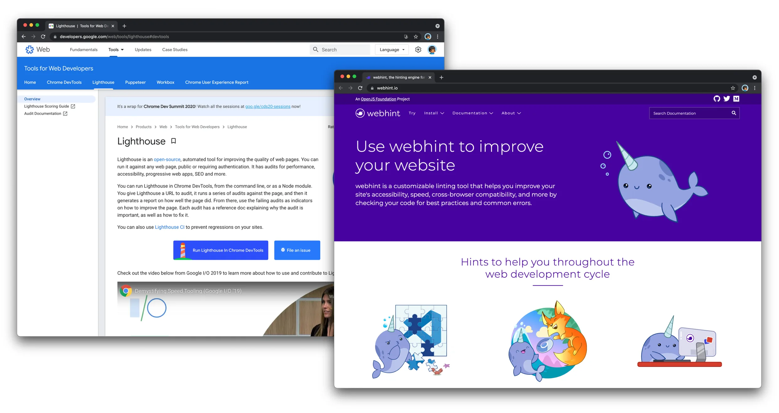 A screenshot of both Lightouse and webhint in action!